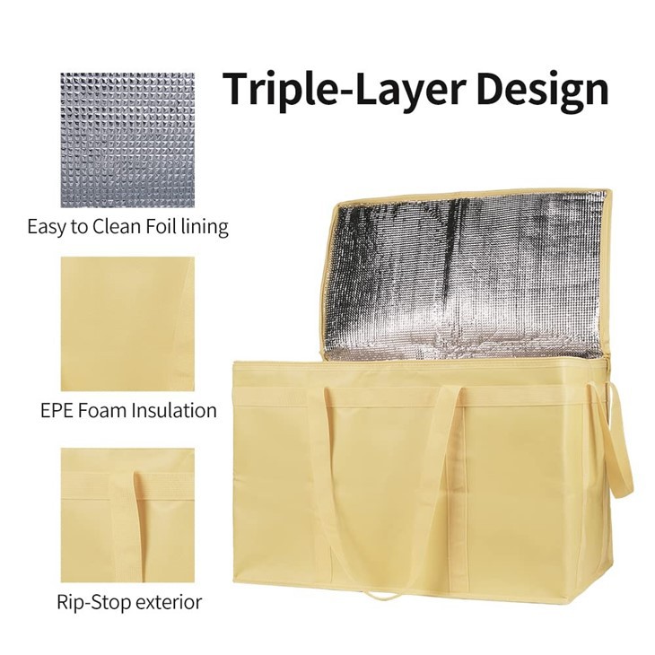 Insulated Picnic Beach Tote Bag